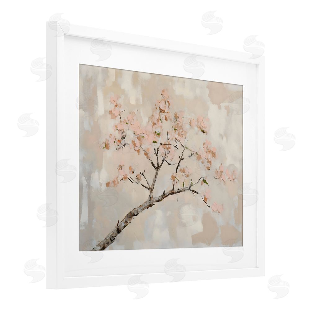 Franklyn Gregory Muted Cherry Blossoms Branch White Framed Print Under Glass with Mat Wall Art