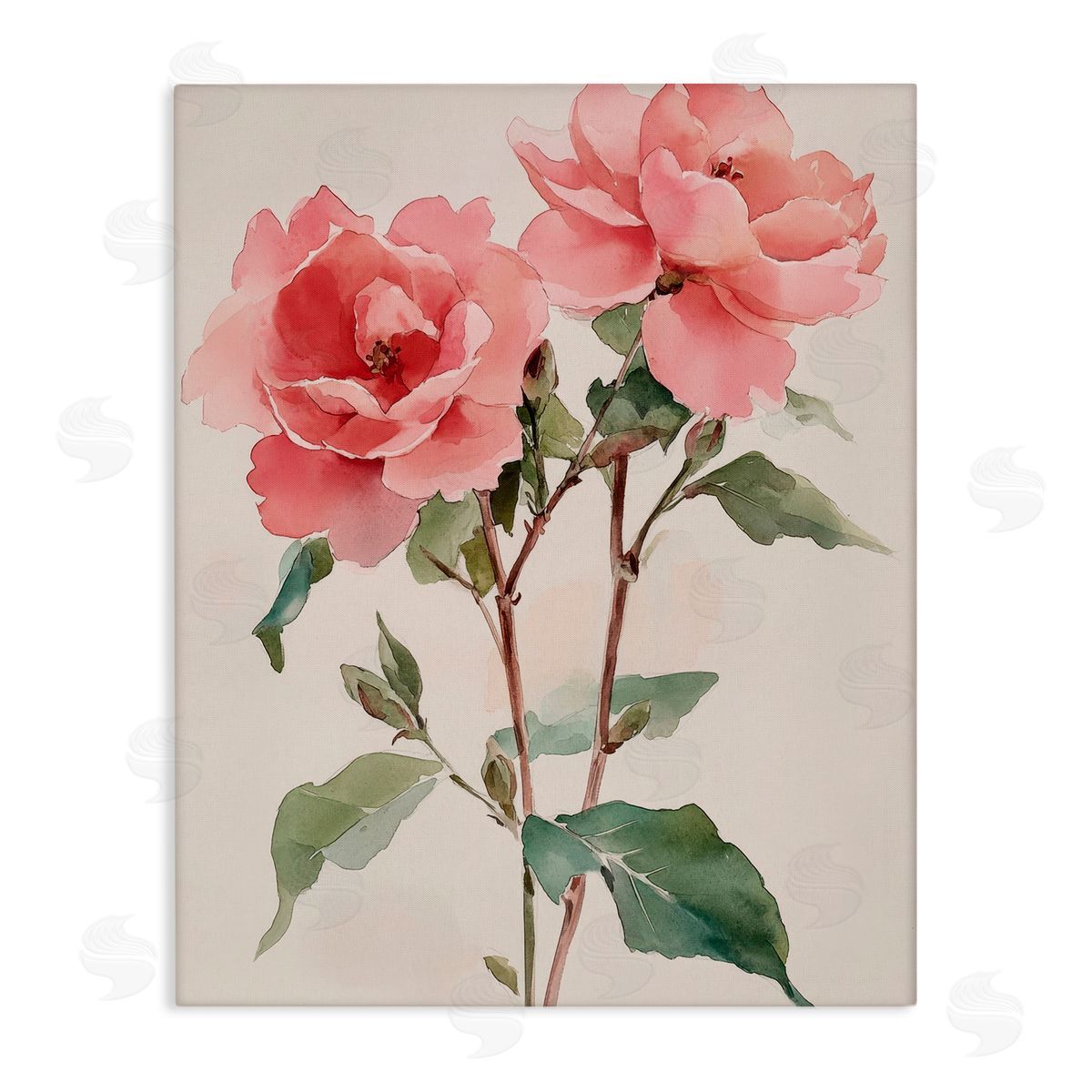 Petal Prints Design Watercolor Roses Pink Floras Canvas Wall Art Print