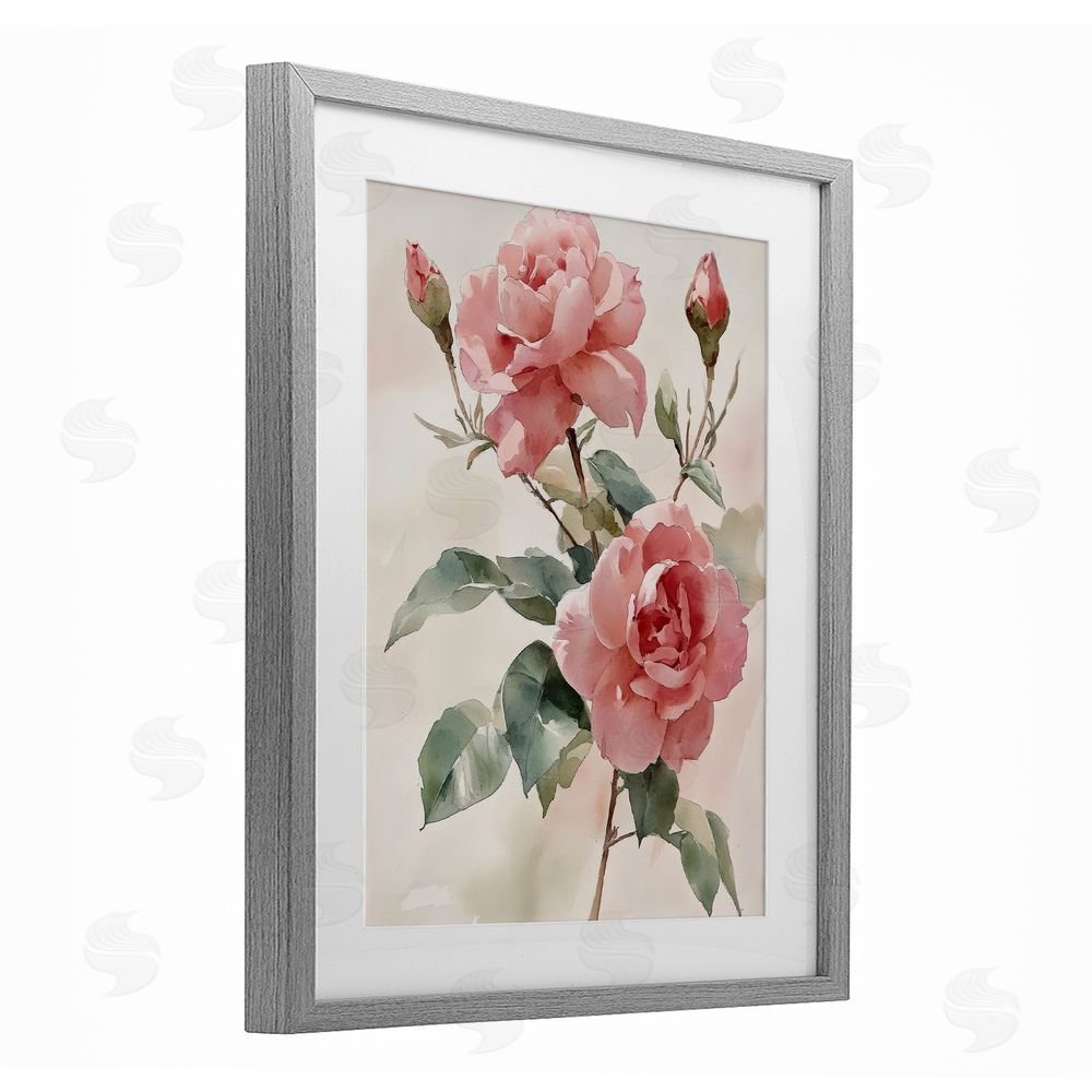 Petal Prints Design Pink Watercolor Roses and Buds Gray Framed Print Under Glass with White Mat Wall Art