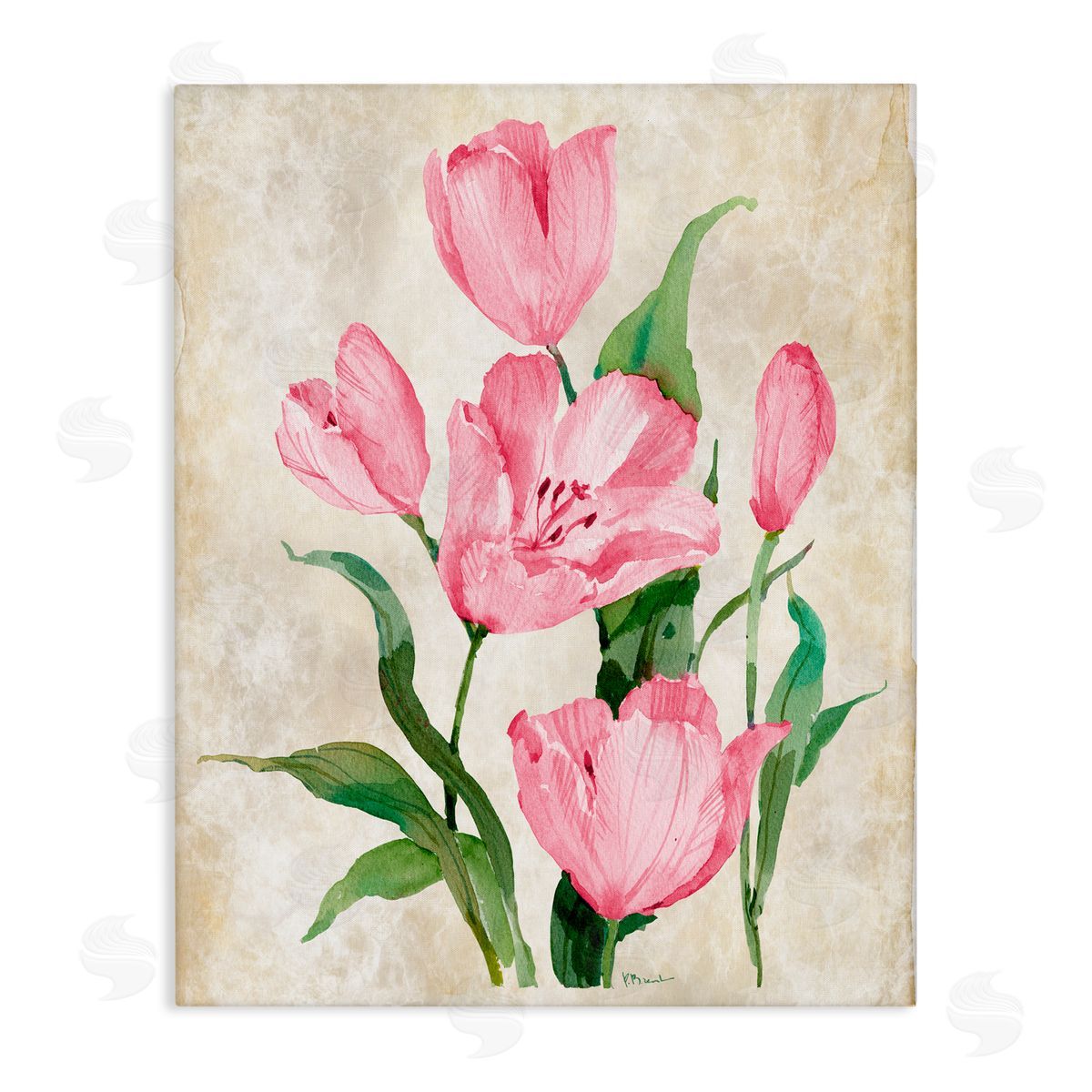 Paul Brent Floral Journal Pink Tulips Canvas Wall Art Print