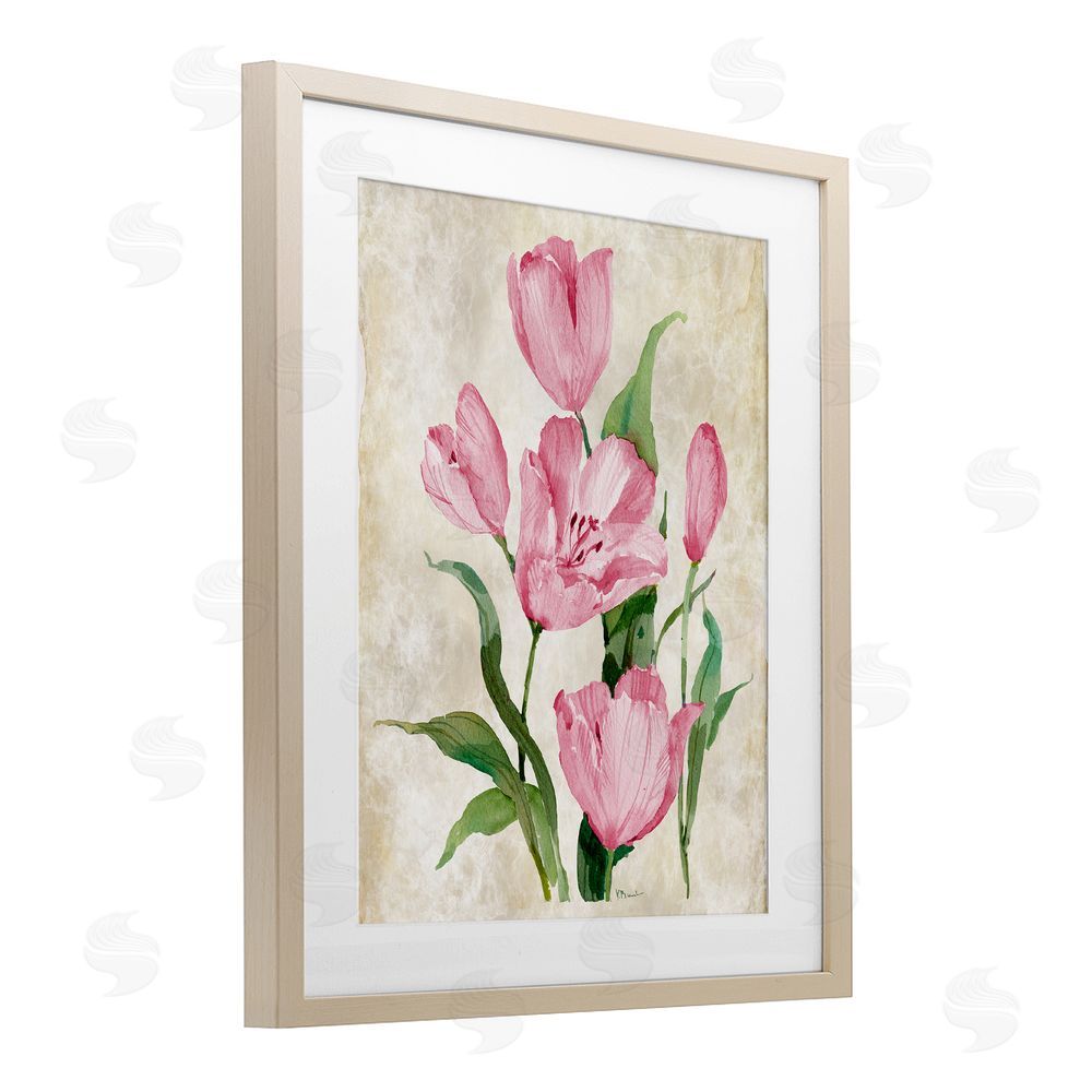 Paul Brent Floral Journal Pink Tulips Birch Framed Print Under Glass Art