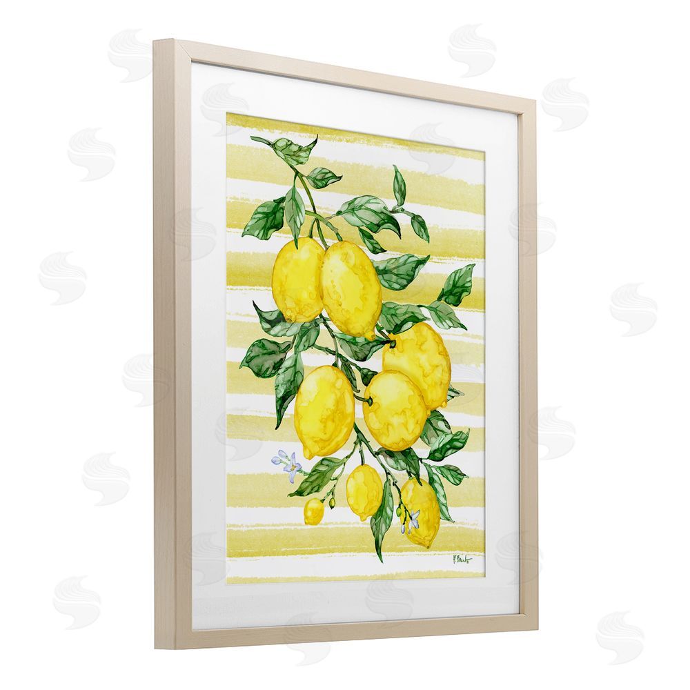 Paul Brent Juicy Lemon Vine & Stripes Birch Framed Print Under Glass Art