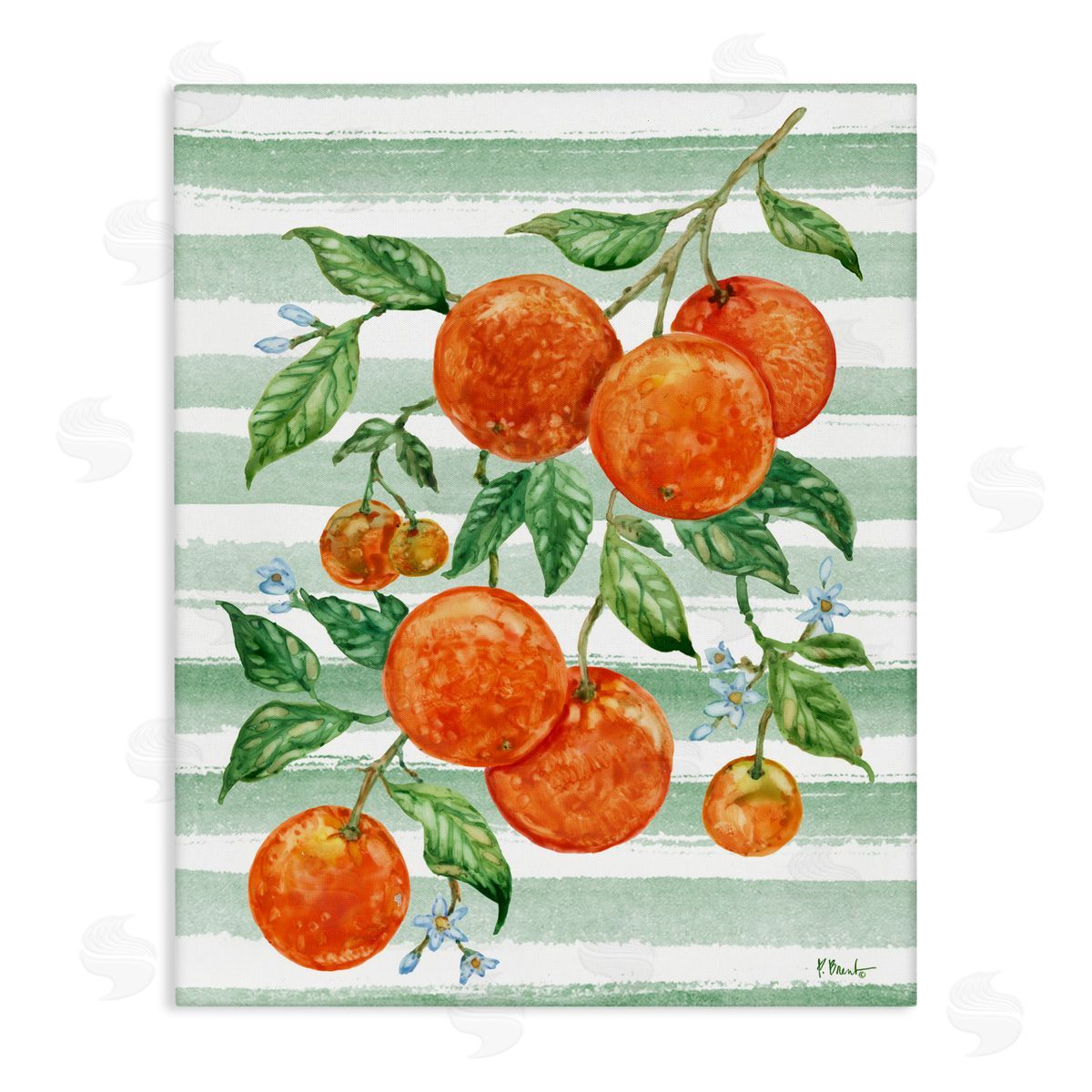 Paul Brent Juicy Orange Vine & Stripes Canvas Wall Art Print