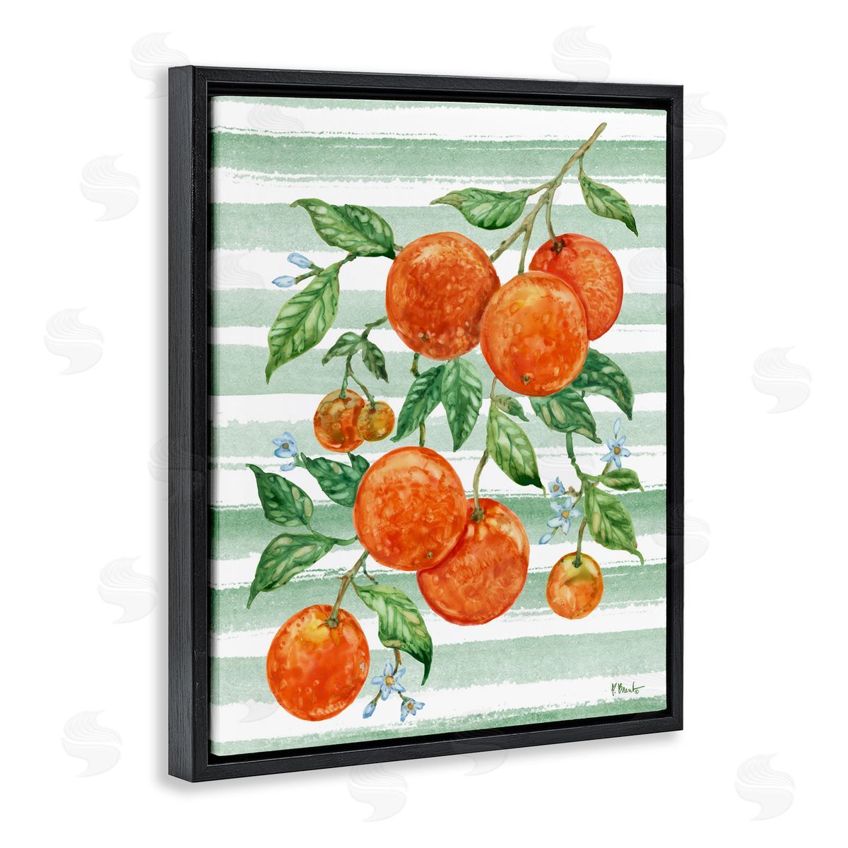 Paul Brent Juicy Orange Vine & Stripes Black Floating Frame Canvas Wall Art Print
