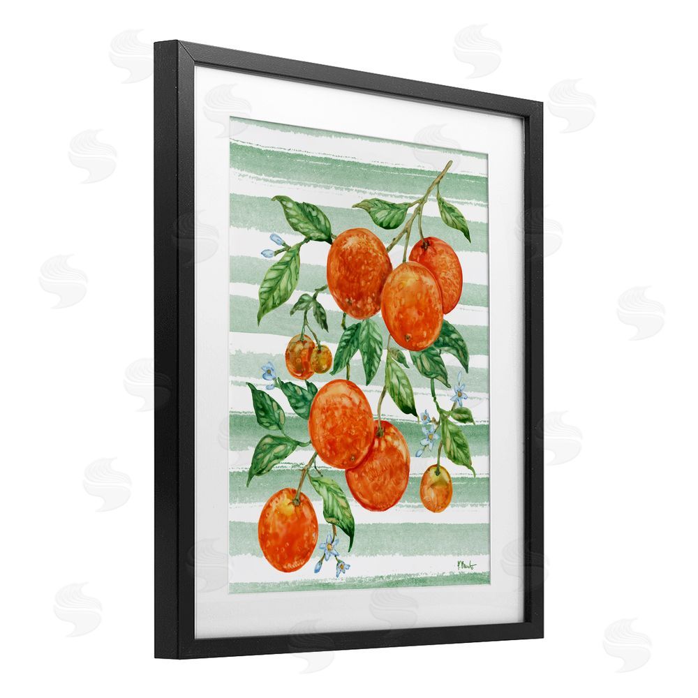 Paul Brent Juicy Orange Vine & Stripes Black Framed Print Under Glass Art