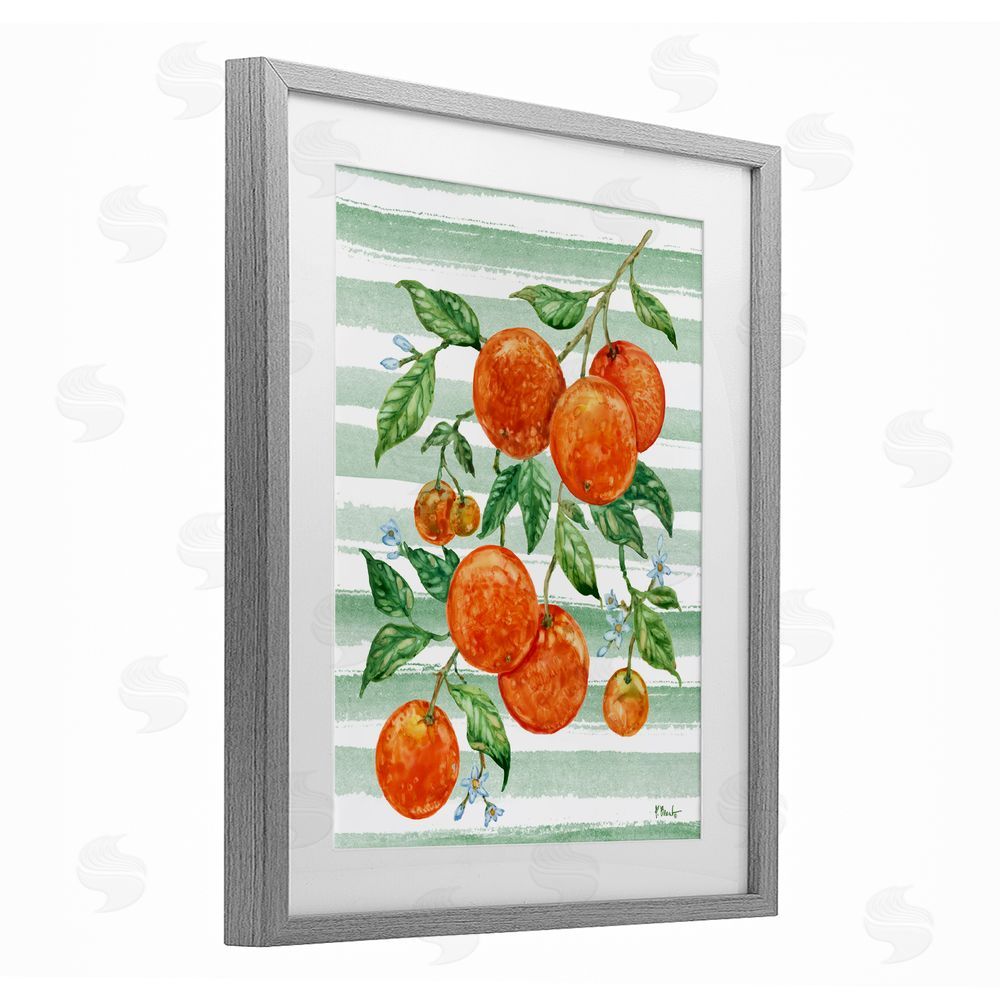 Paul Brent Juicy Orange Vine & Stripes Gray Framed Print Under Glass Art