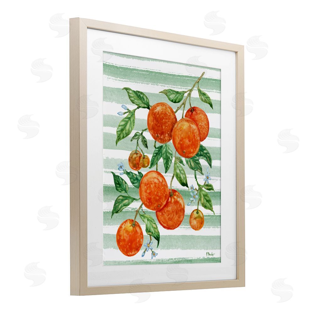 Paul Brent Juicy Orange Vine & Stripes Birch Framed Print Under Glass Art