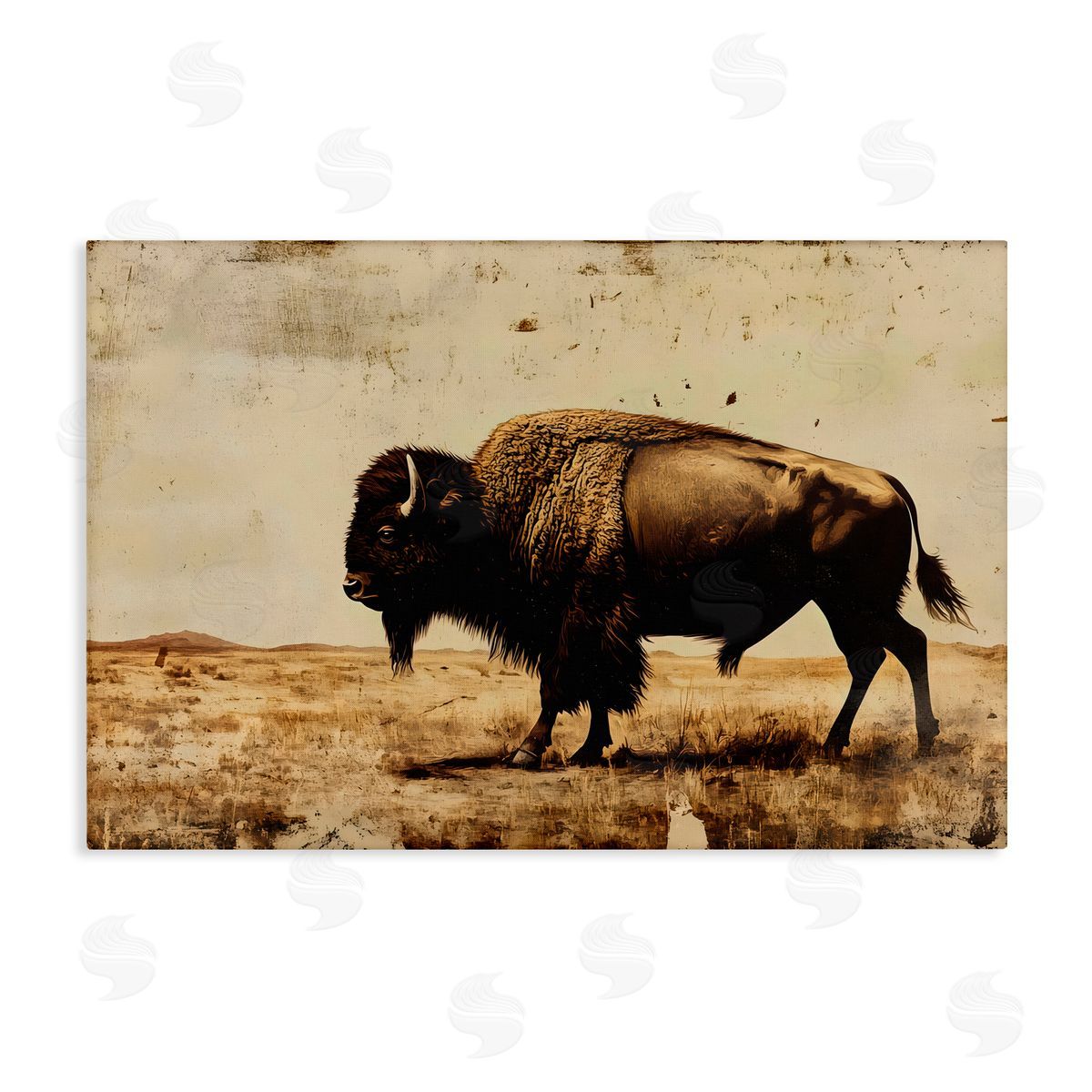 Franklyn Gregory Rustic Lone Buffalo Canvas Wall Art Print