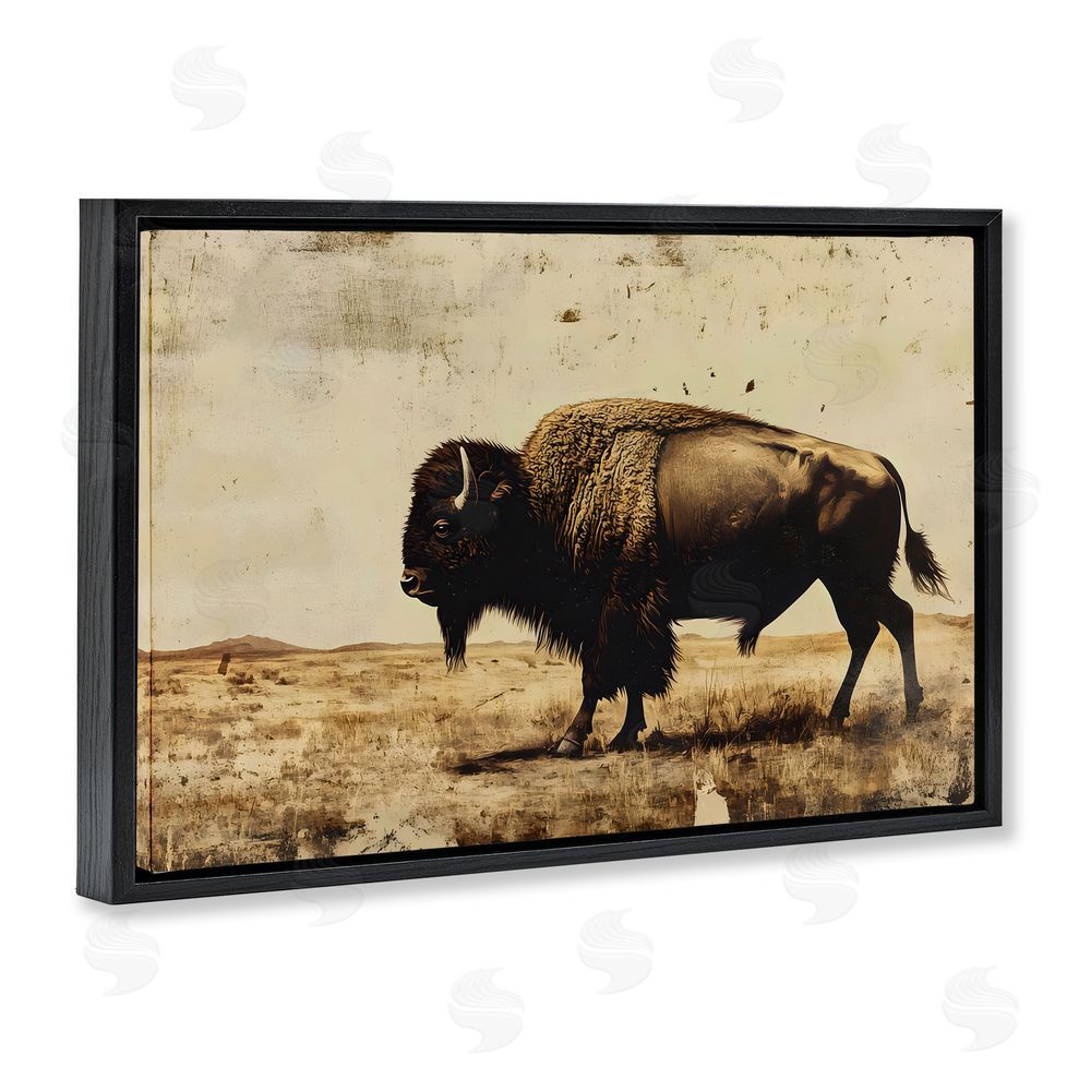 Franklyn Gregory Rustic Lone Buffalo Black Floating Frame Canvas Wall Art Print