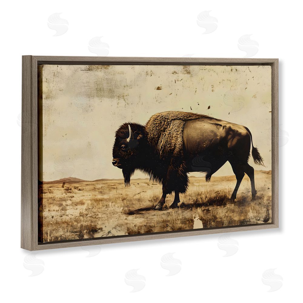 Franklyn Gregory Rustic Lone Buffalo Brown Floating Frame Canvas Wall Art Print