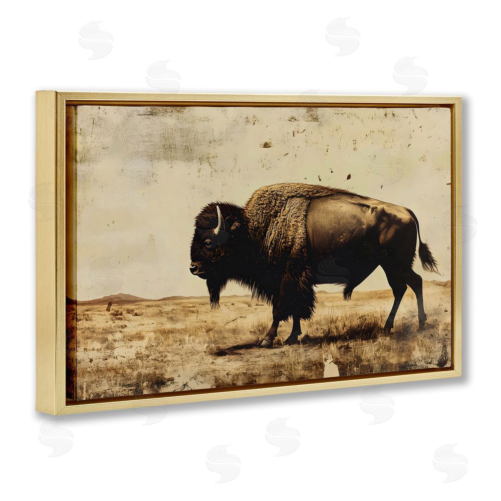 Franklyn Gregory Rustic Lone Buffalo Gold Floating Frame Canvas Wall Art Print