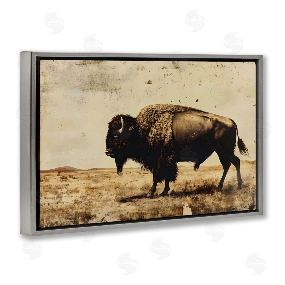 Franklyn Gregory Rustic Lone Buffalo Gray Floating Frame Canvas Wall Art Print