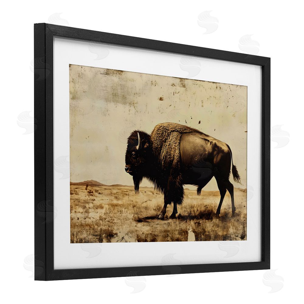 Franklyn Gregory Rustic Lone Buffalo Black Framed Print Under Glass with White Mat Wall Art