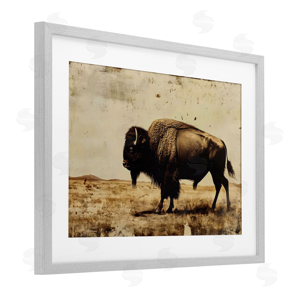 Franklyn Gregory Rustic Lone Buffalo Gray Framed Print Under Glass with White Mat Wall Art