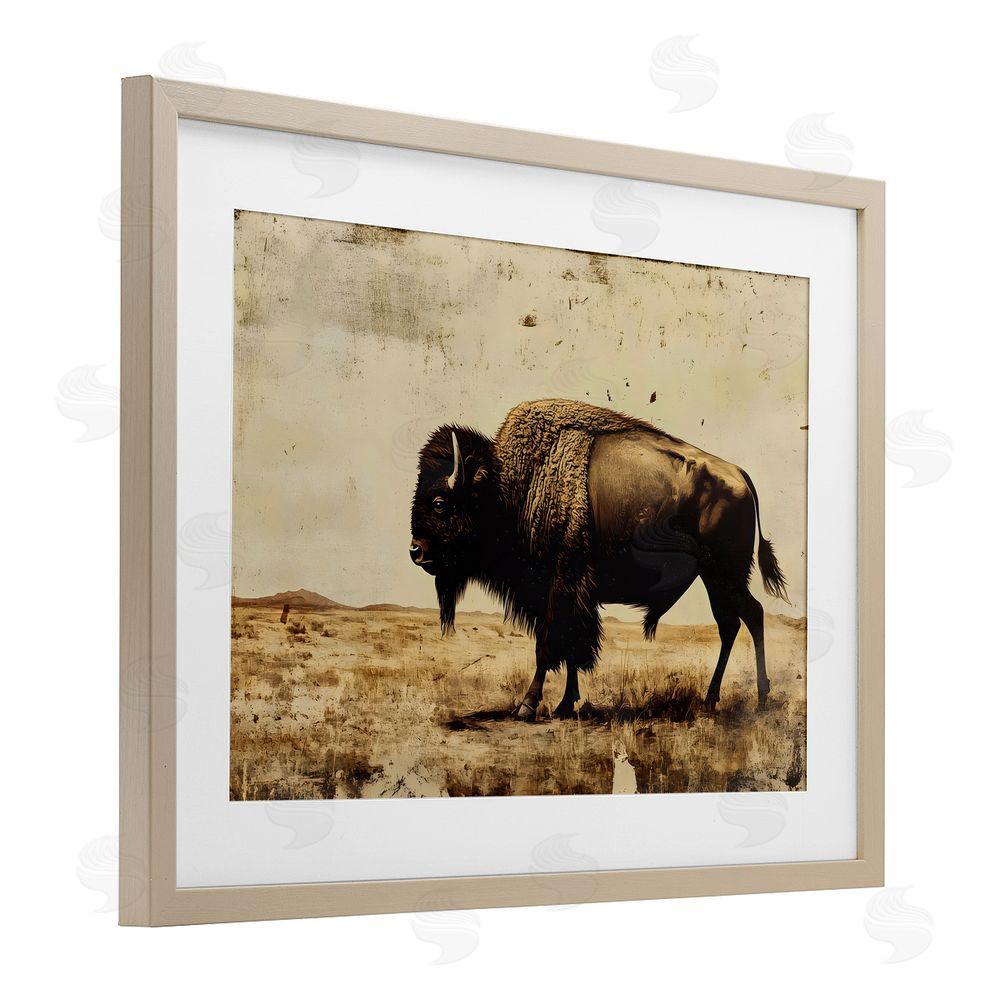 Franklyn Gregory Rustic Lone Buffalo Birch Framed Print Under Glass with White Mat Wall Art