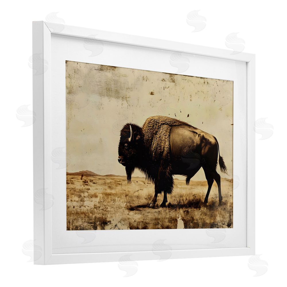 Franklyn Gregory Rustic Lone Buffalo White Framed Print Under Glass with Mat Wall Art