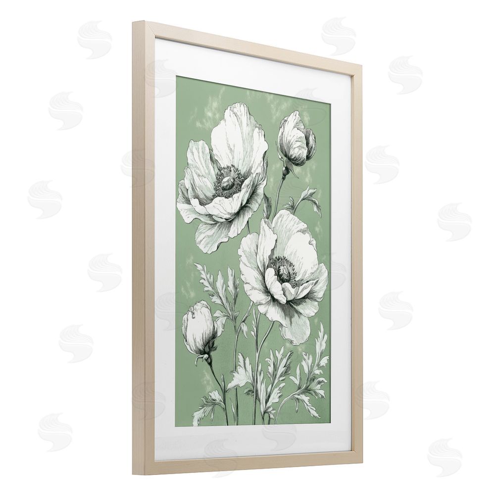 Petal Prints Design Soft Green Poppy Floral Birch Framed Print Under Glass with White Mat Wall Art