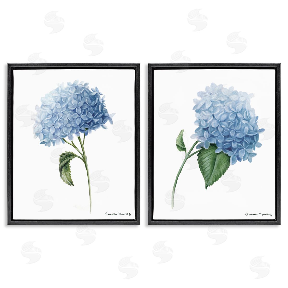 Danielle Murray In Bloom Hydrangeas Canvas Wall Art Print