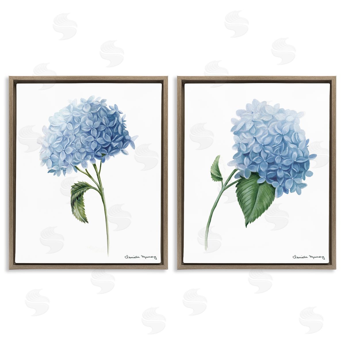 Danielle Murray In Bloom Hydrangeas Canvas Wall Art Print