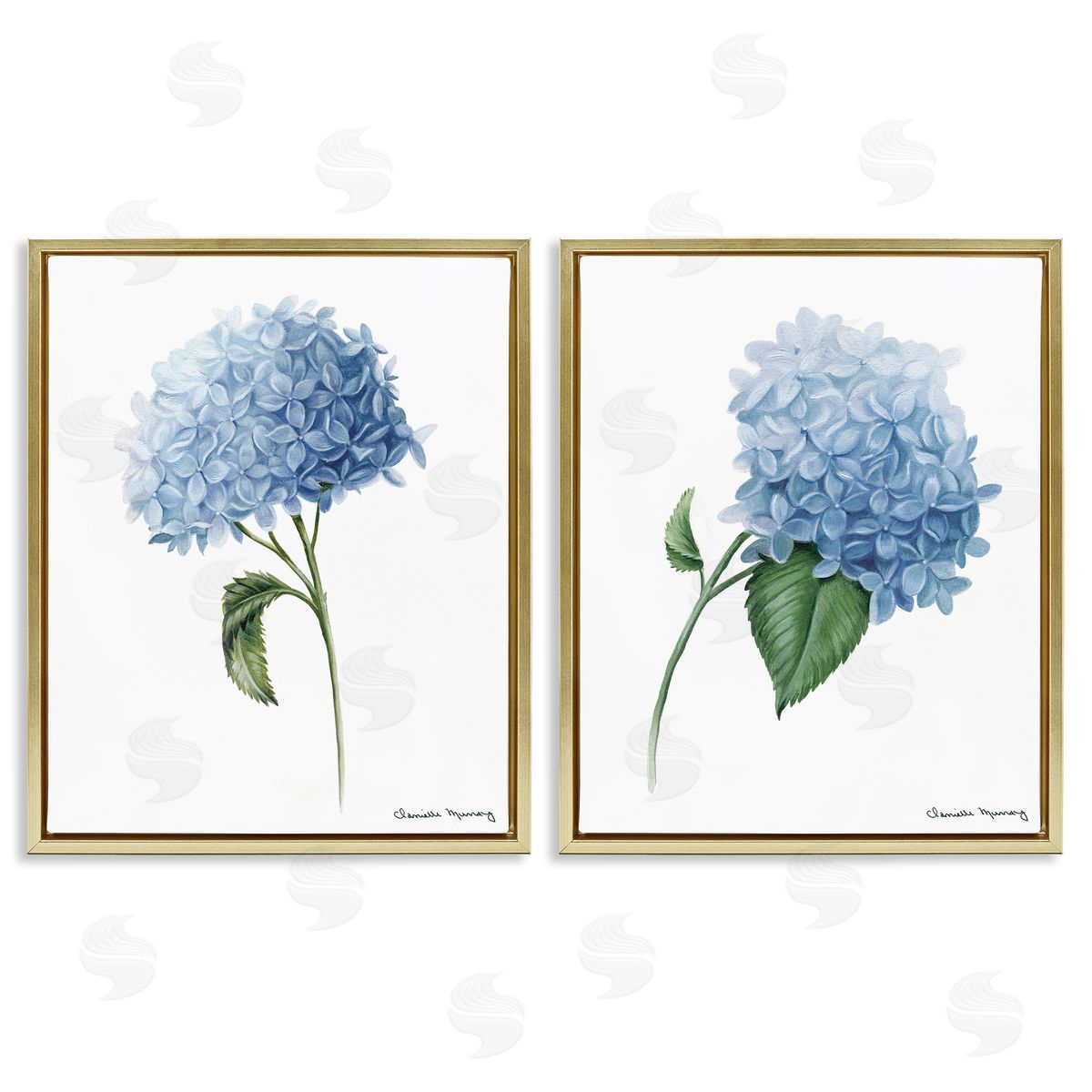 Danielle Murray In Bloom Hydrangeas Canvas Wall Art Print