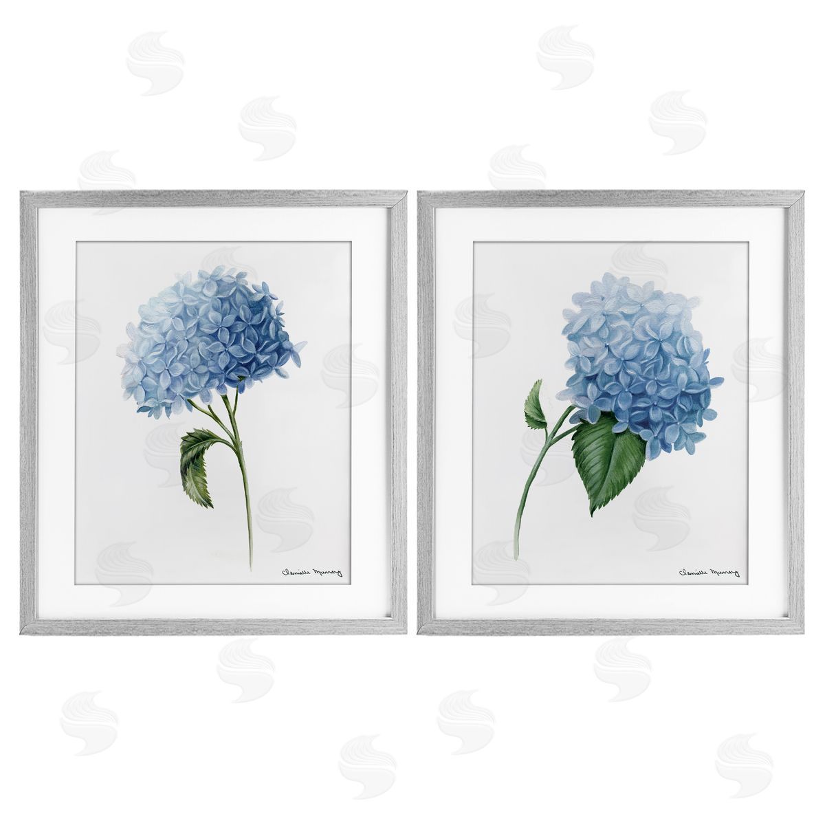 Danielle Murray In Bloom Hydrangeas Canvas Wall Art Print