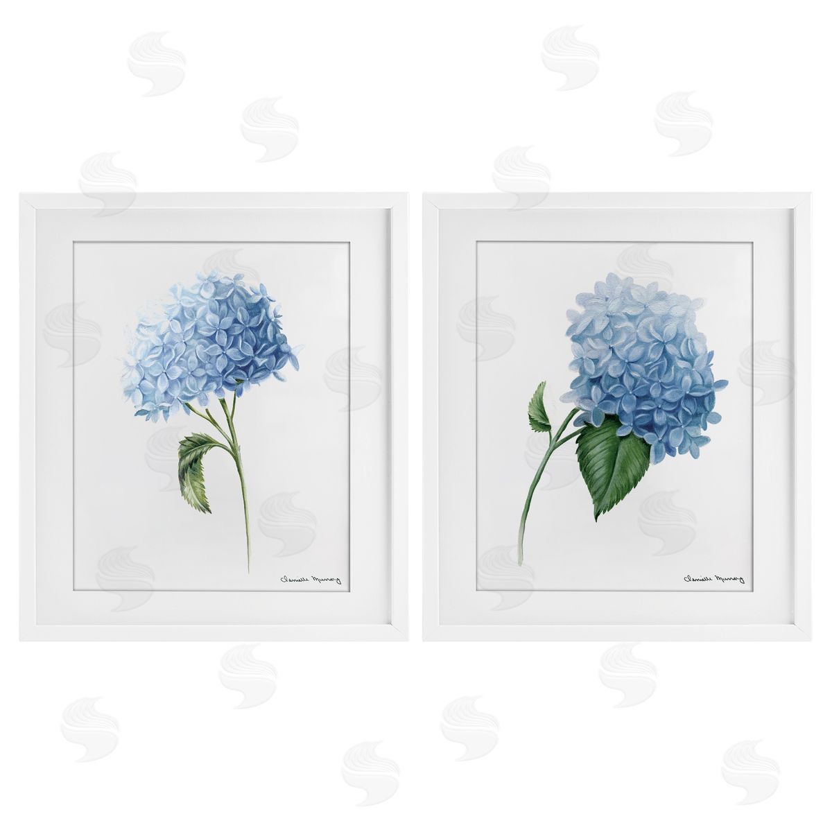 Danielle Murray In Bloom Hydrangeas Canvas Wall Art Print
