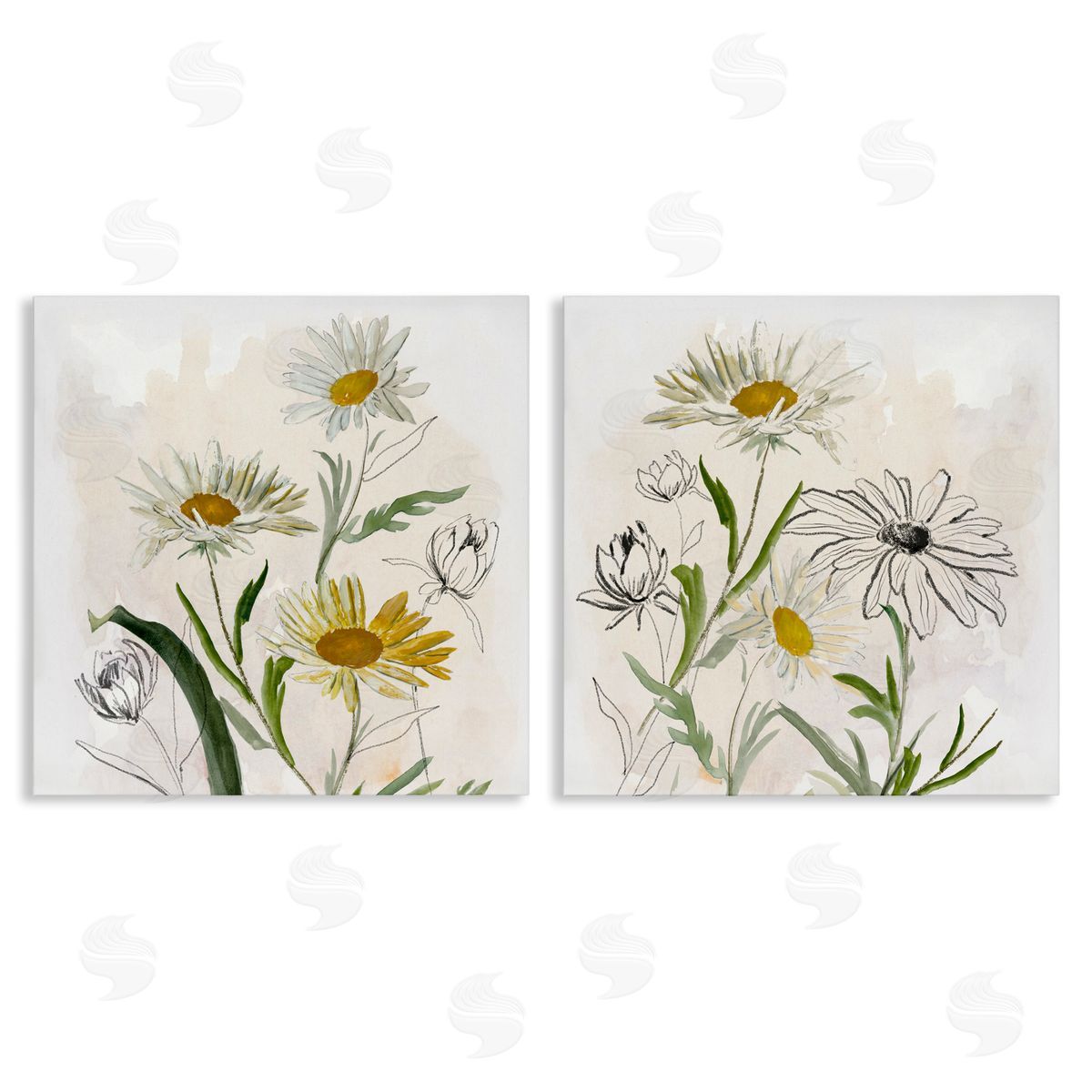 Jacob Q Pure and Simple Daisies Canvas Wall Art Print