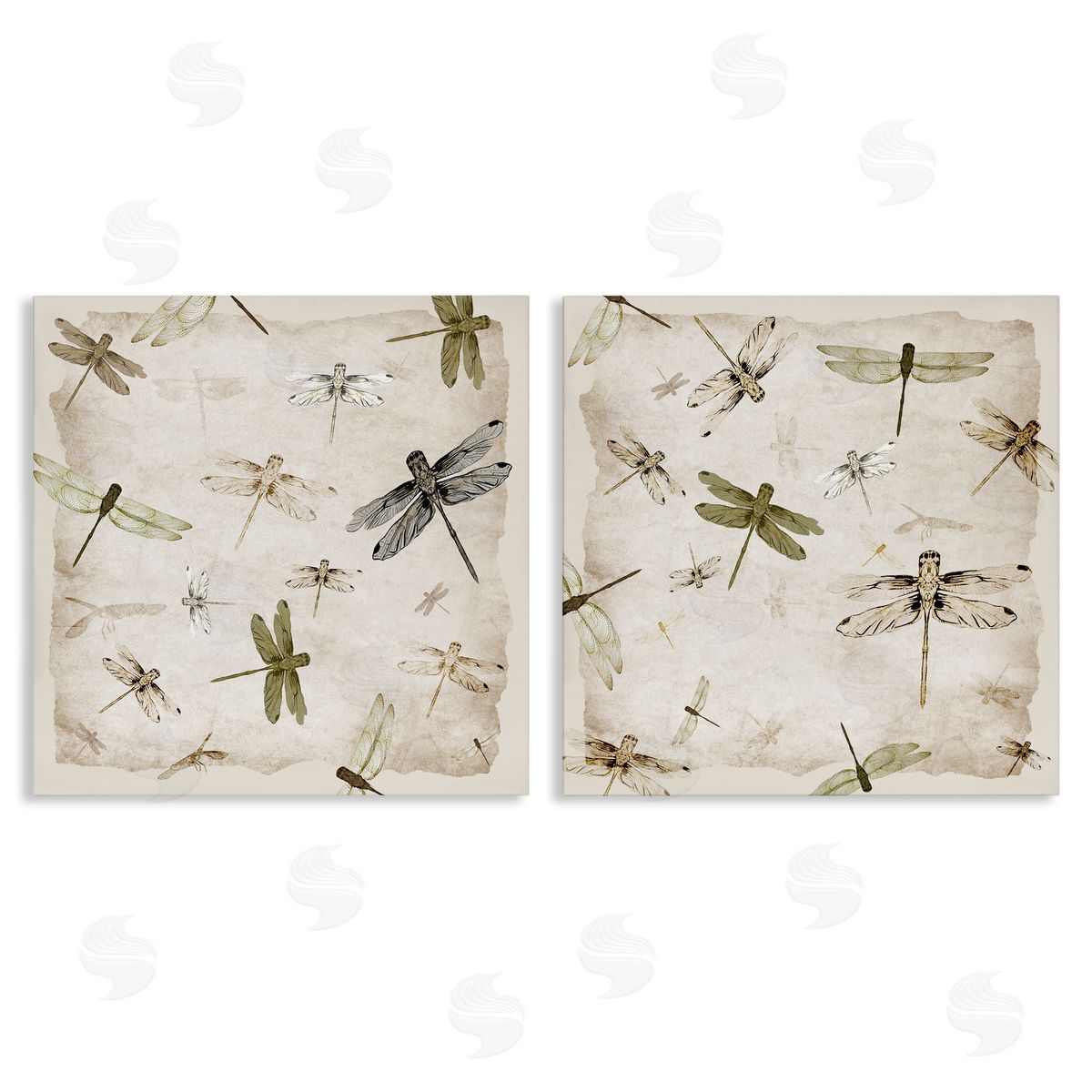 Jacob Q Graceful Dragonflies Illustrations Canvas Wall Art Print