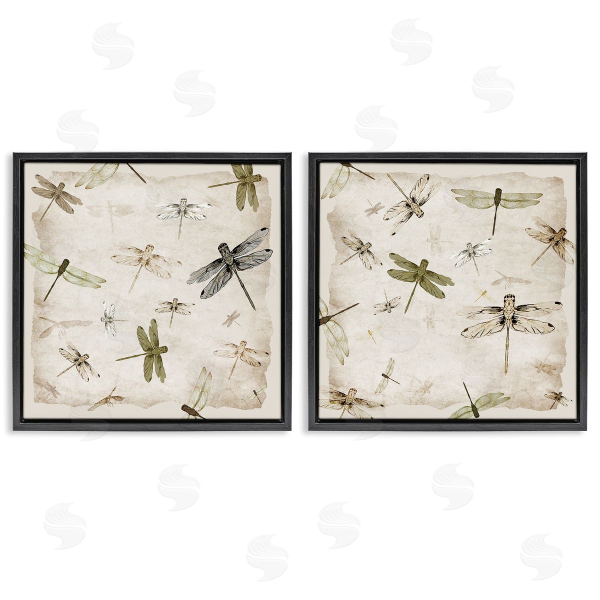Jacob Q Graceful Dragonflies Illustrations Canvas Wall Art Print