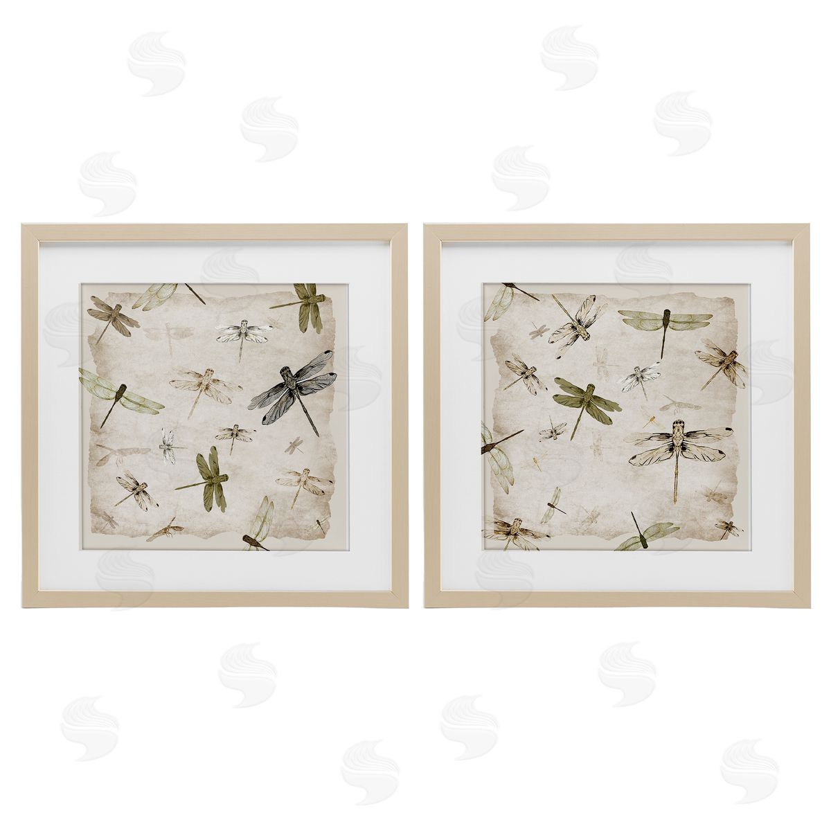 Jacob Q Graceful Dragonflies Illustrations Canvas Wall Art Print