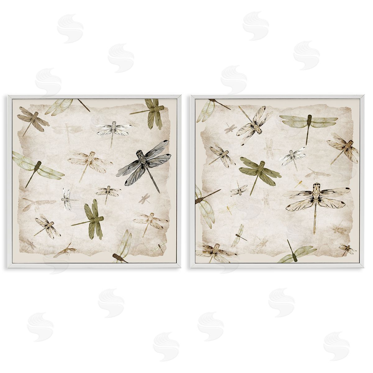 Jacob Q Graceful Dragonflies Illustrations Canvas Wall Art Print