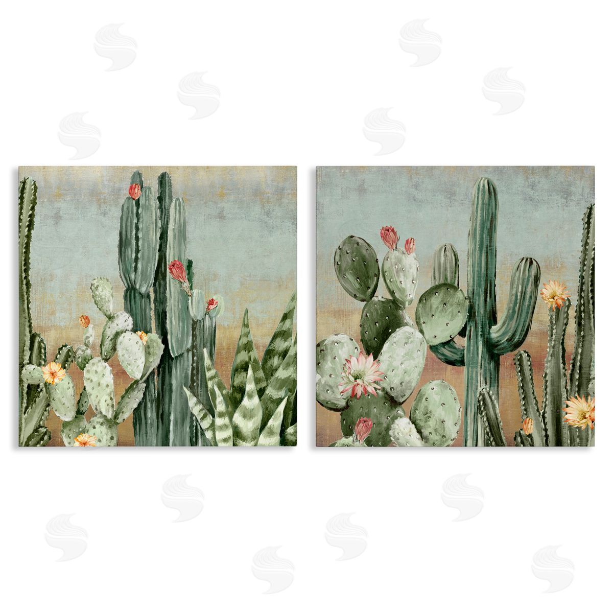 Luna Mavis Cactus Blooms Among Thorns Canvas Wall Art Print