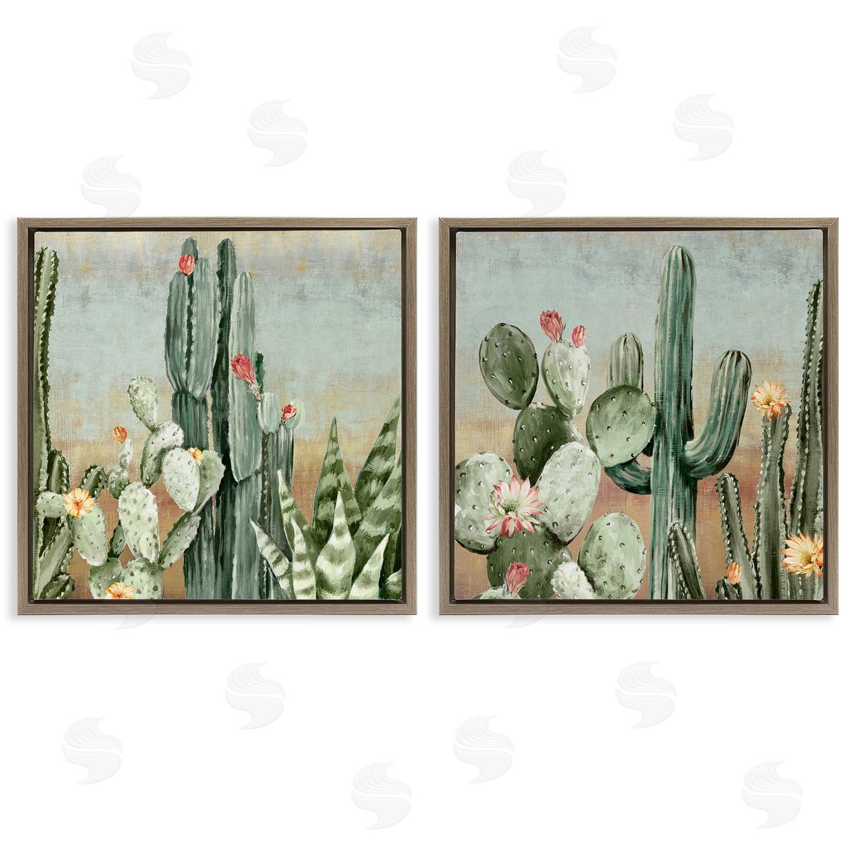 Luna Mavis Cactus Blooms Among Thorns Canvas Wall Art Print