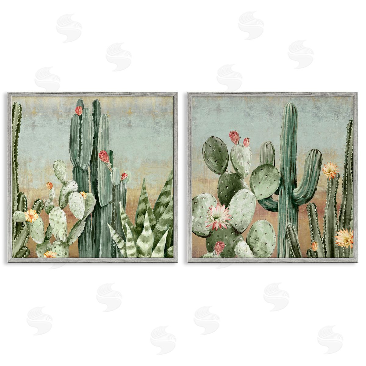 Luna Mavis Cactus Blooms Among Thorns Canvas Wall Art Print