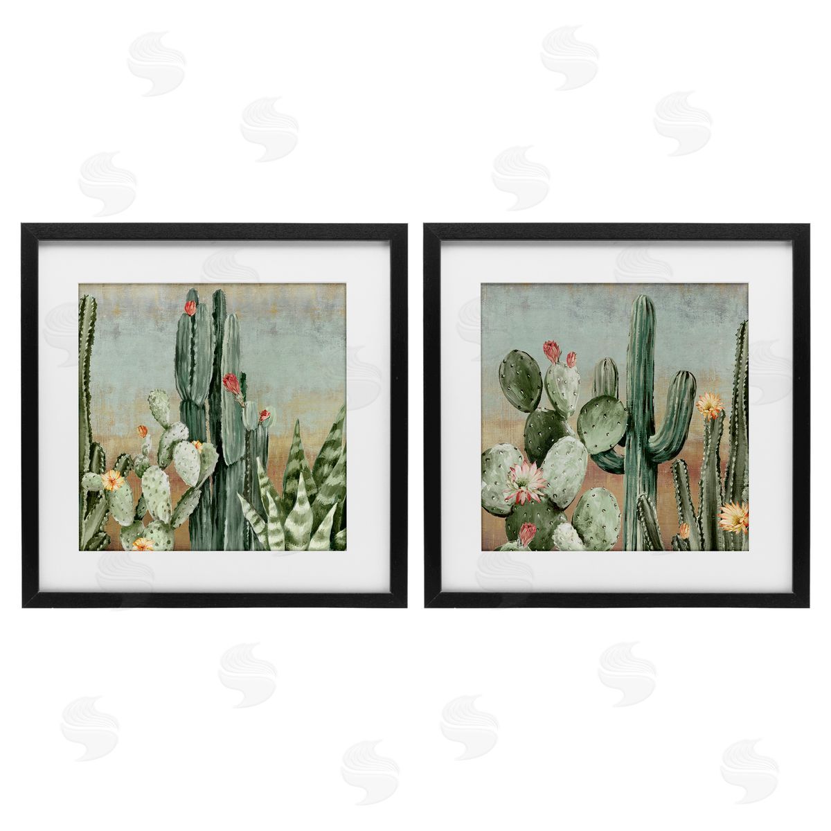 Luna Mavis Cactus Blooms Among Thorns Canvas Wall Art Print