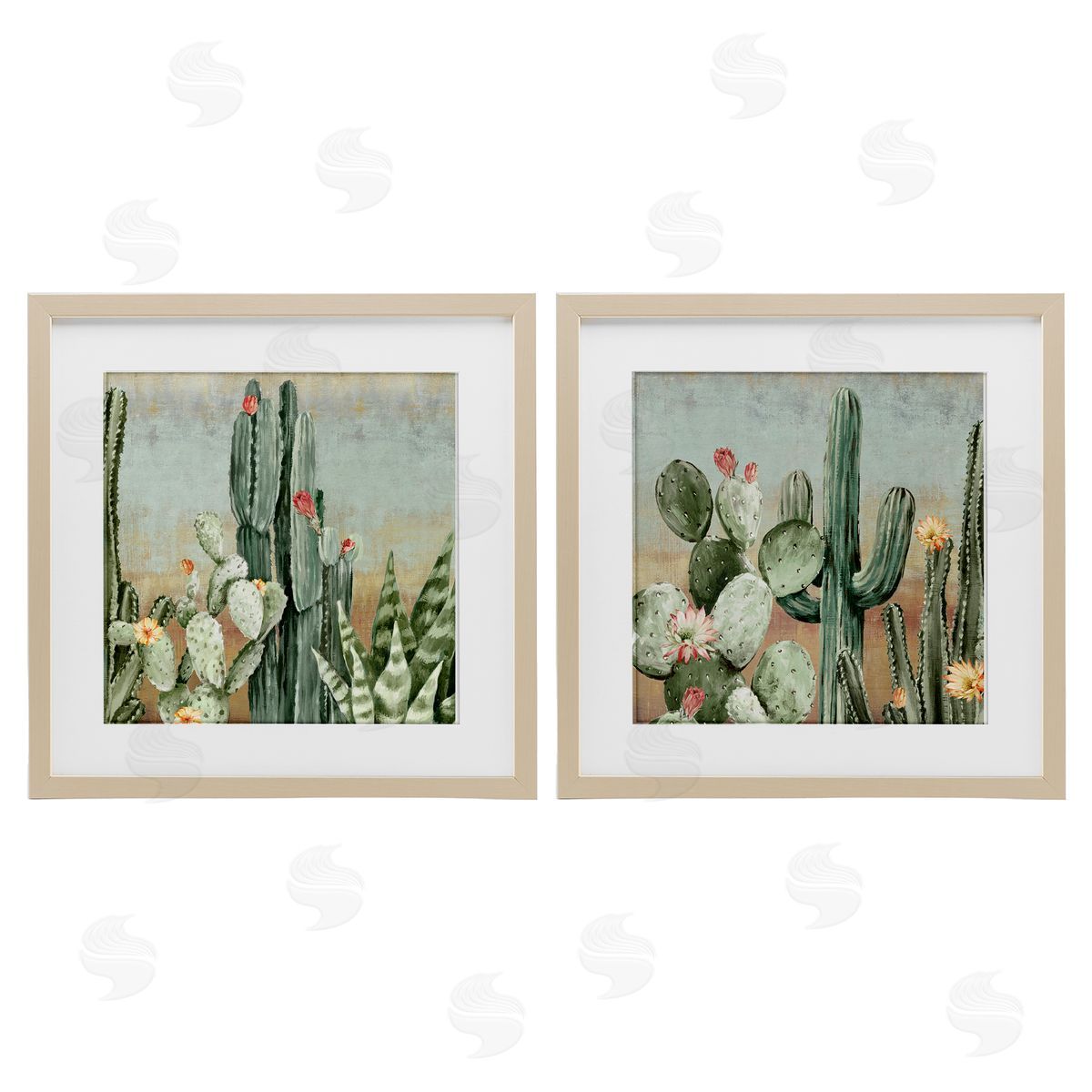 Luna Mavis Cactus Blooms Among Thorns Canvas Wall Art Print