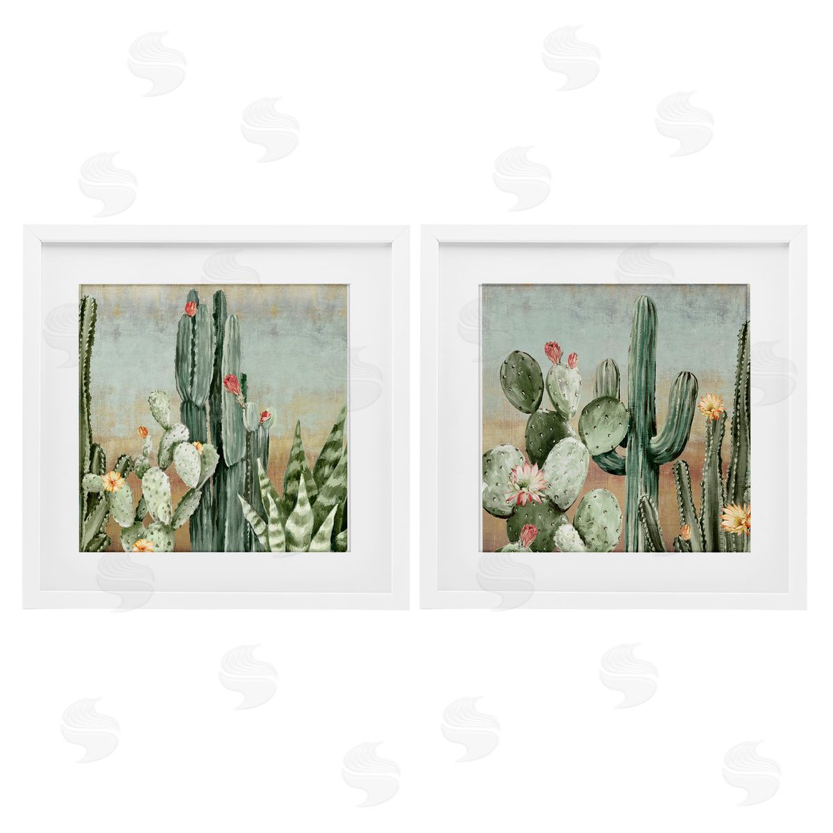 Luna Mavis Cactus Blooms Among Thorns Canvas Wall Art Print