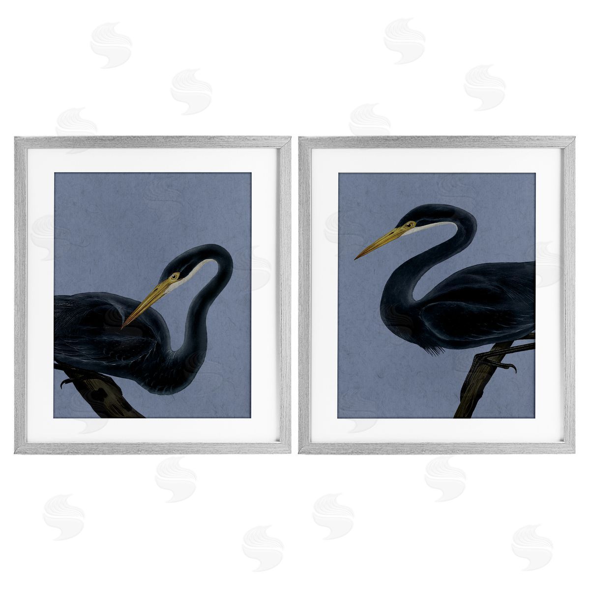Grace Popp Black Heron Birds Canvas Wall Art Print