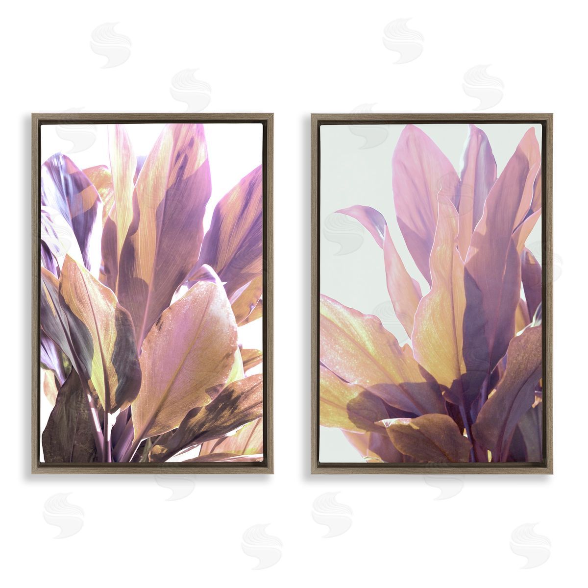 Gemma Bardot Sunlit Tropical Leaves Canvas Wall Art Print