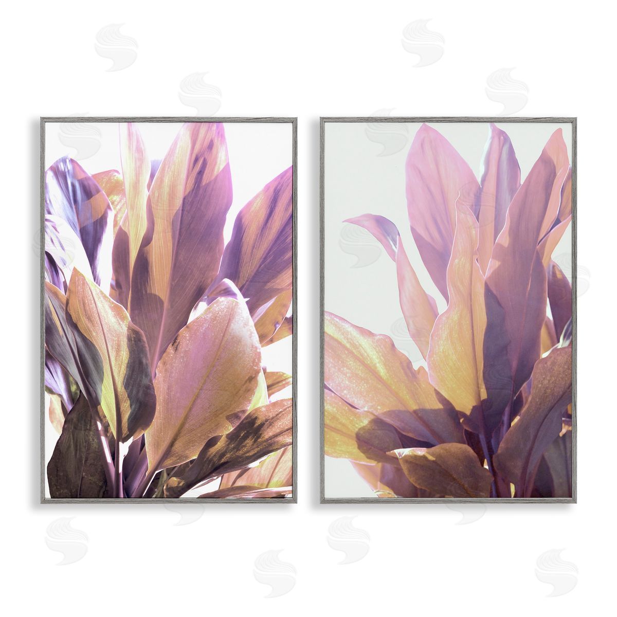 Gemma Bardot Sunlit Tropical Leaves Canvas Wall Art Print