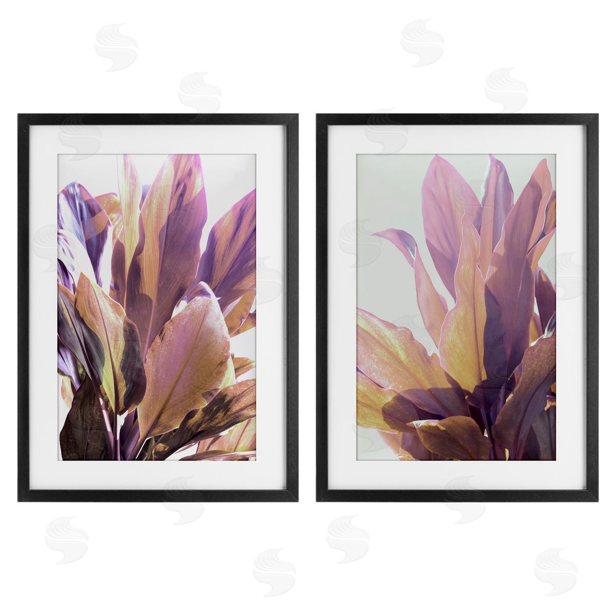 Gemma Bardot Sunlit Tropical Leaves Canvas Wall Art Print