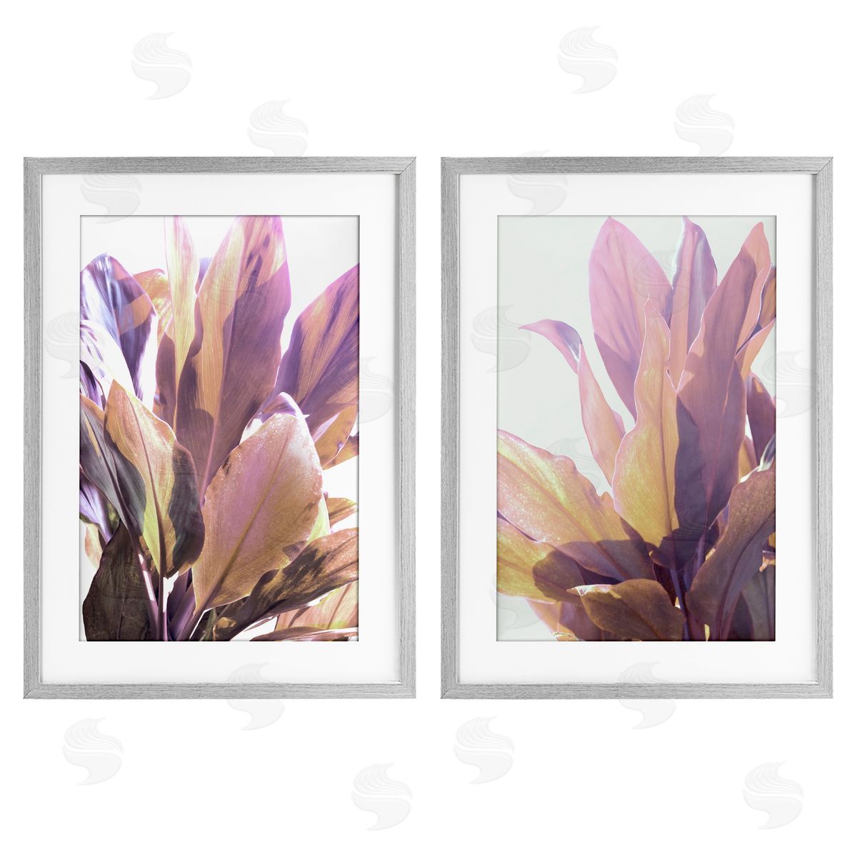 Gemma Bardot Sunlit Tropical Leaves Canvas Wall Art Print