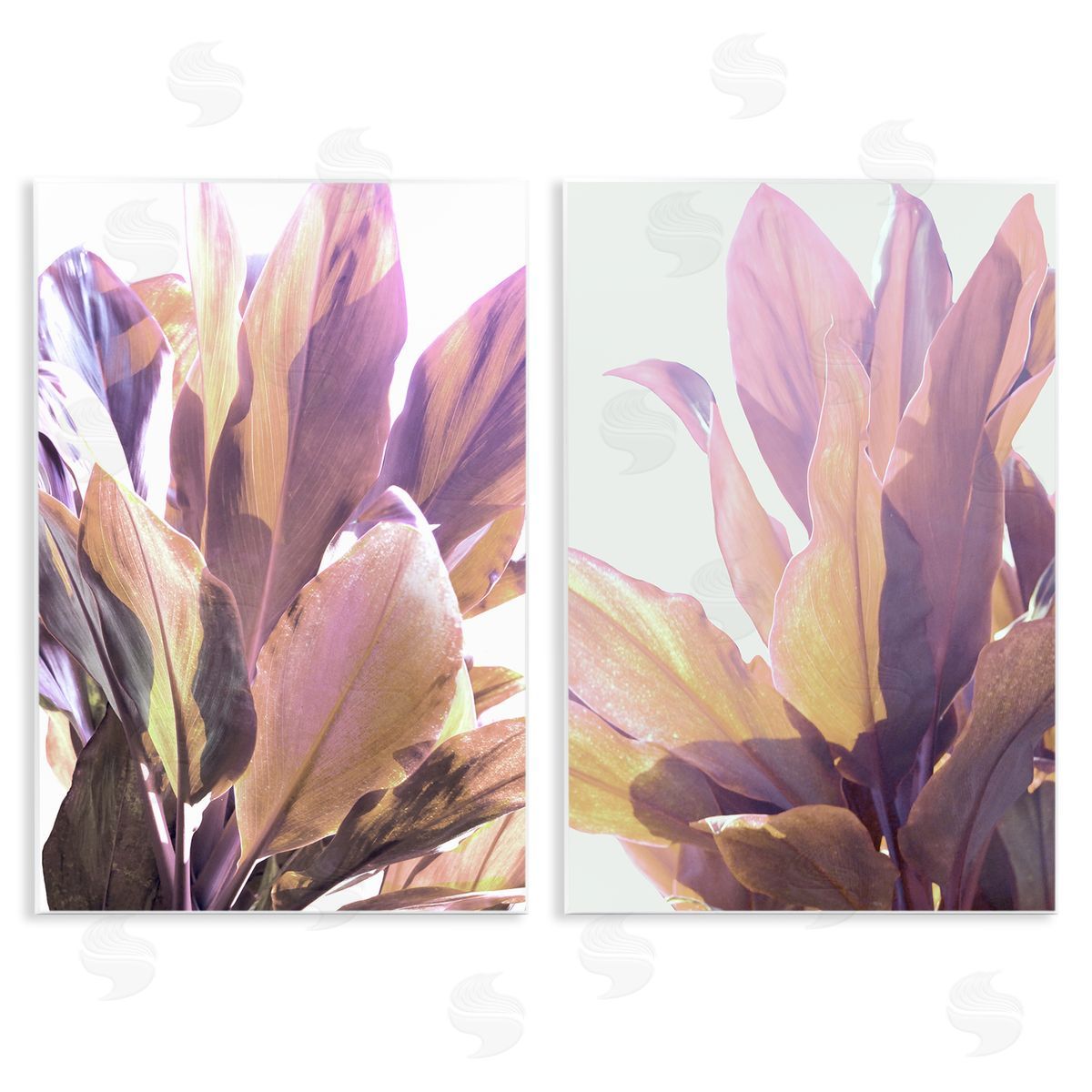 Gemma Bardot Sunlit Tropical Leaves Canvas Wall Art Print