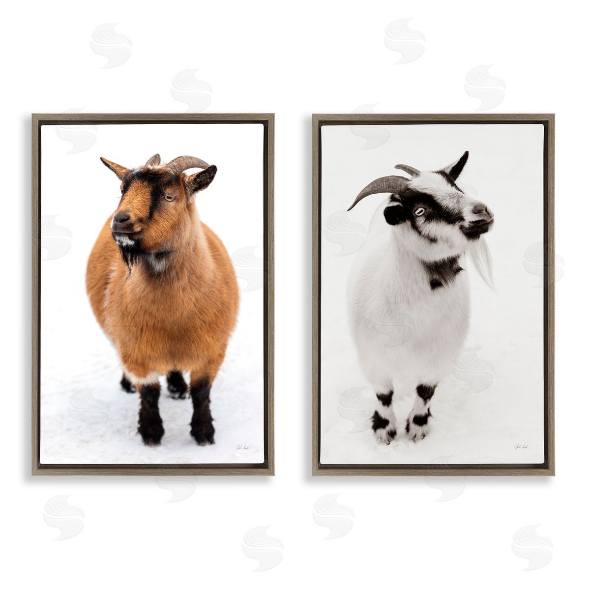 Deborah Revell Two Little Goats Canvas Wall Art Print