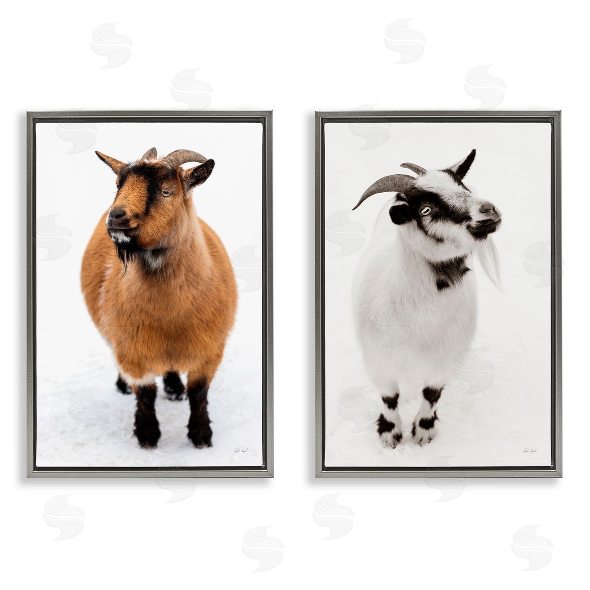 Deborah Revell Two Little Goats Canvas Wall Art Print