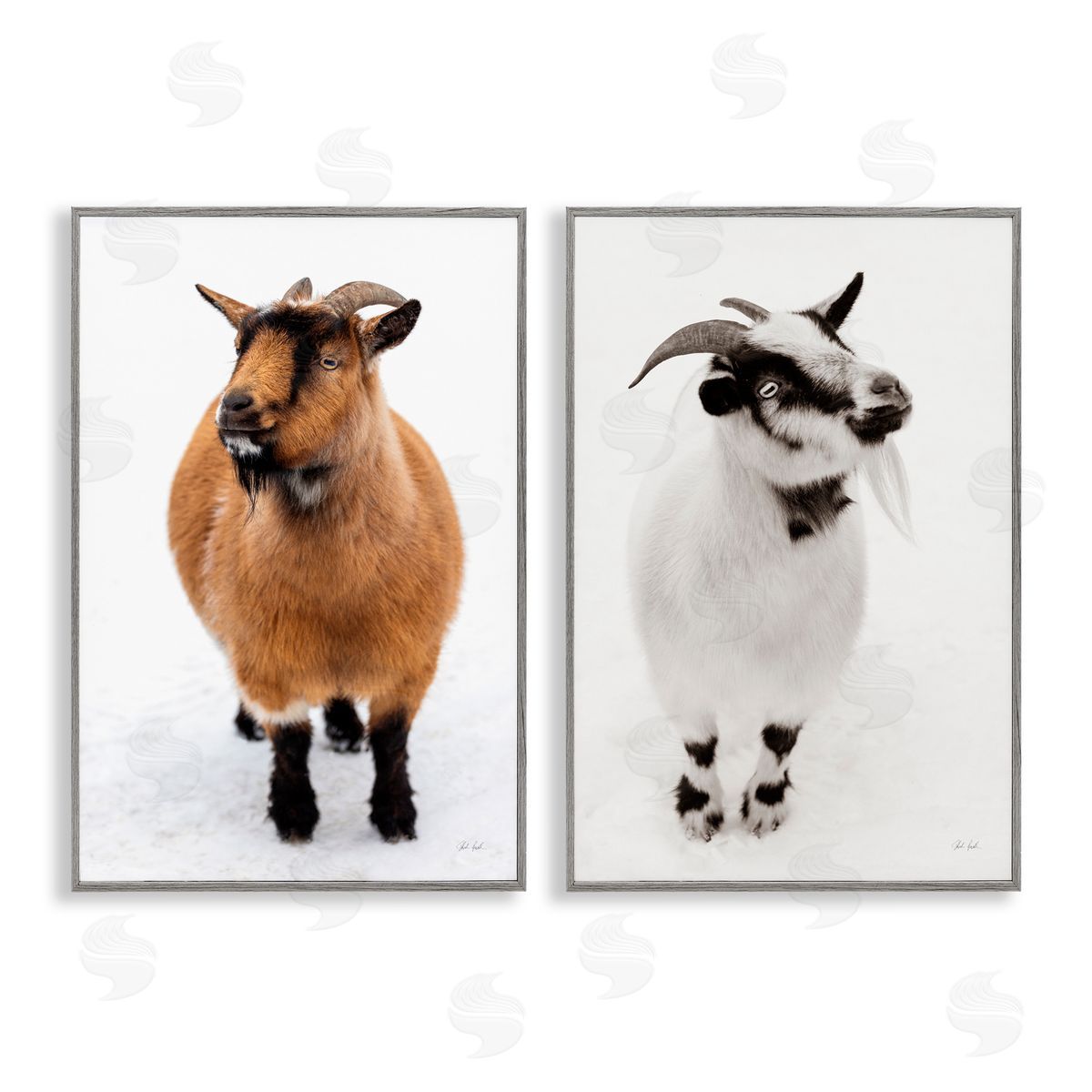 Deborah Revell Two Little Goats Canvas Wall Art Print