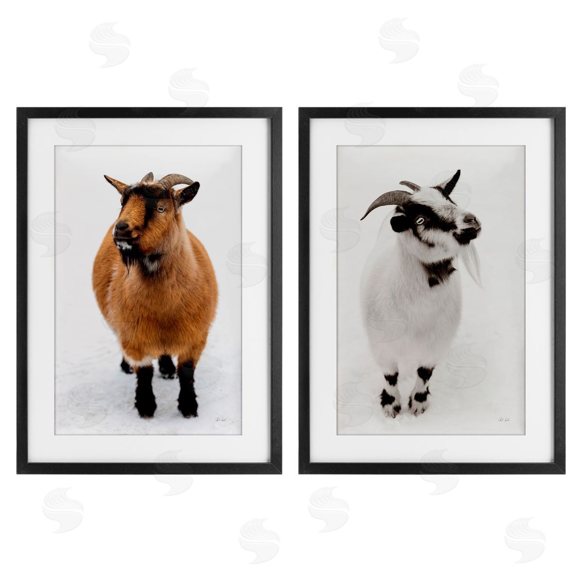 Deborah Revell Two Little Goats Canvas Wall Art Print