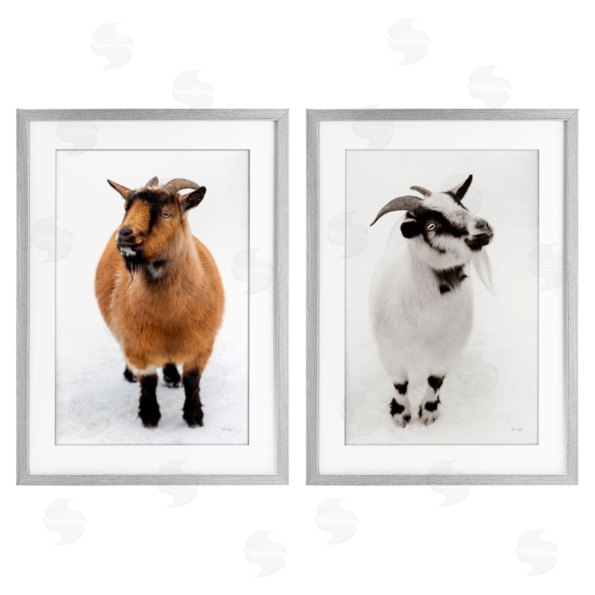 Deborah Revell Two Little Goats Canvas Wall Art Print