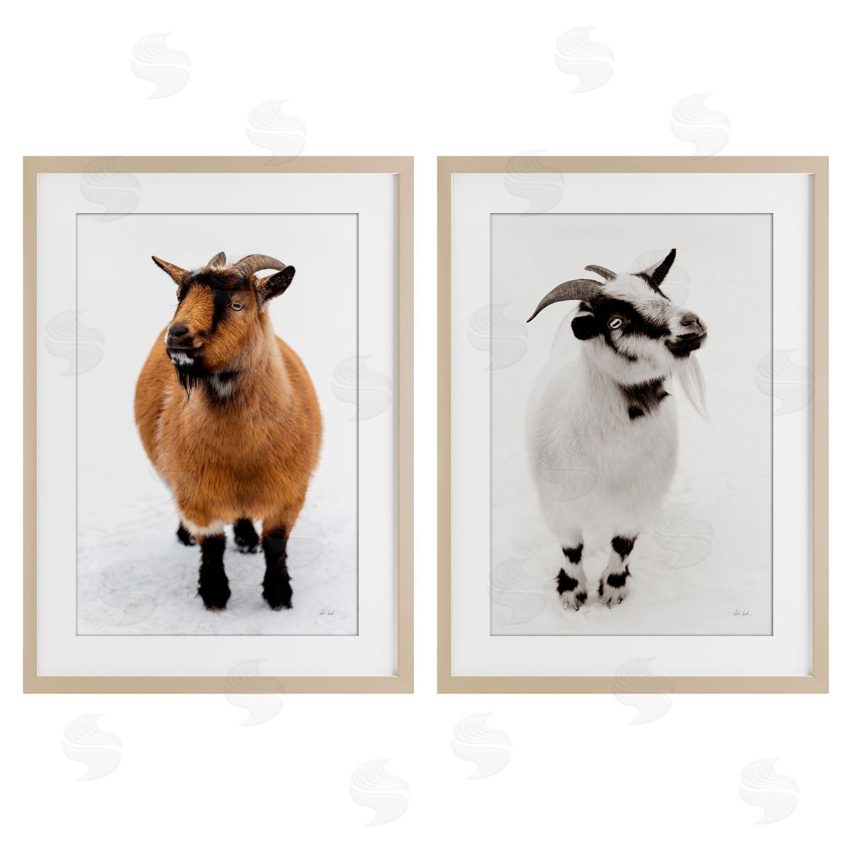 Deborah Revell Two Little Goats Canvas Wall Art Print