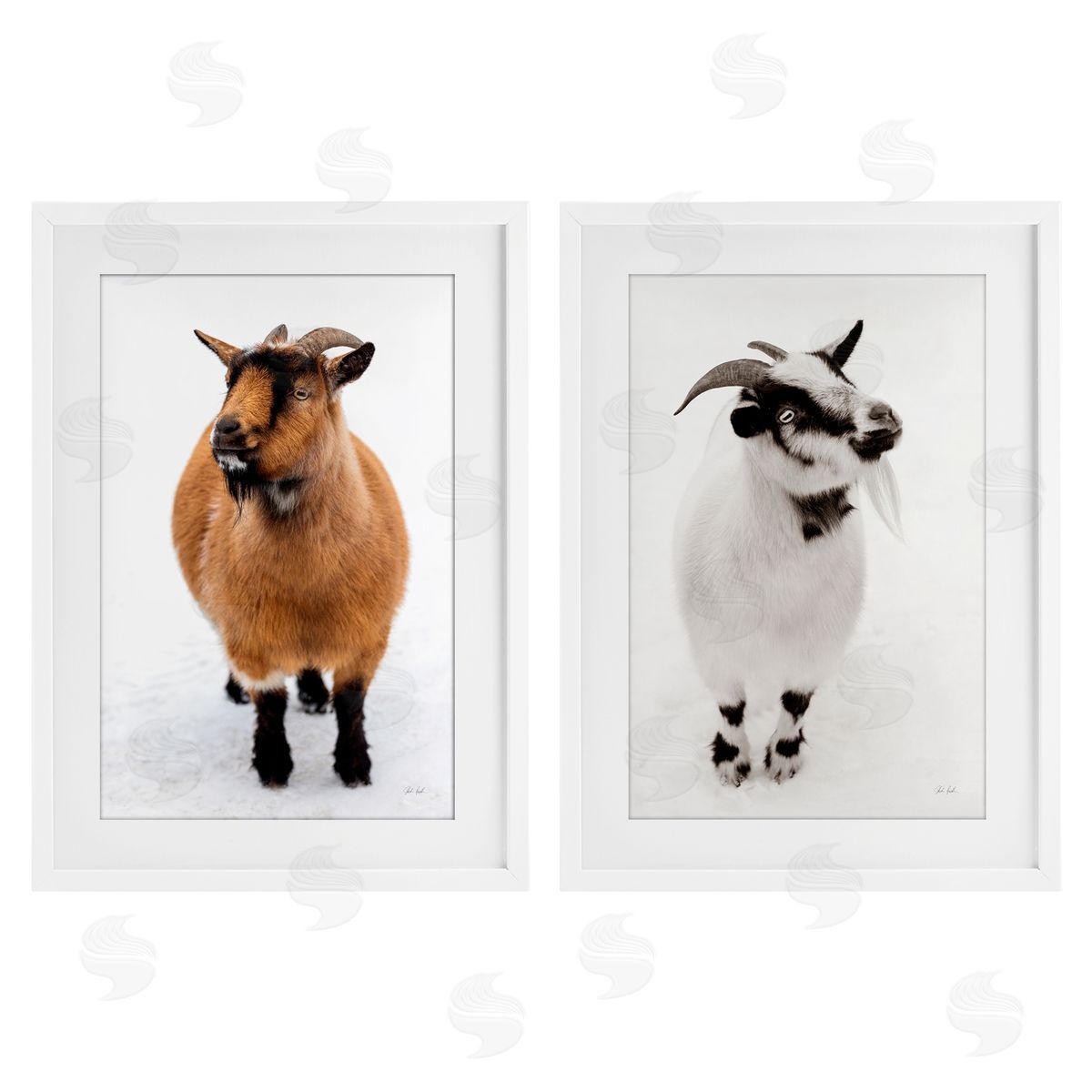 Deborah Revell Two Little Goats Canvas Wall Art Print